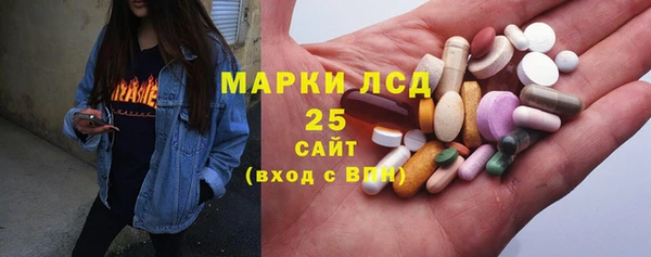 PSILOCYBIN Алзамай