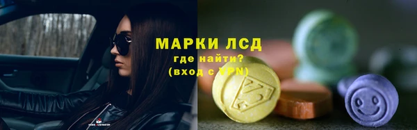 PSILOCYBIN Алзамай