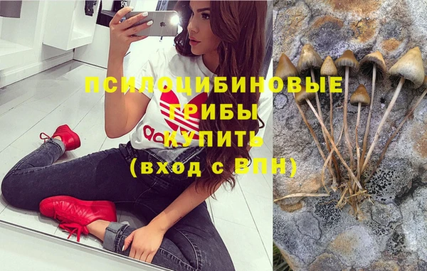 Альфа ПВП Алексеевка