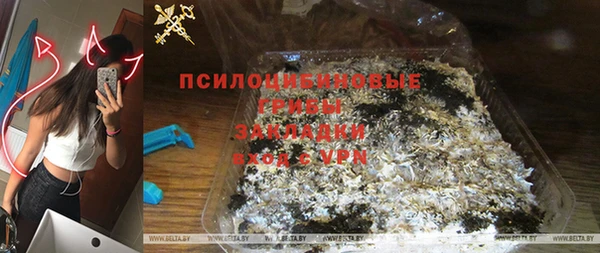 PSILOCYBIN Алзамай