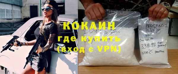 ешки Алексин