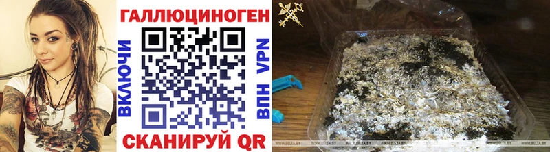 даркнет сайт  kraken ТОР  Псилоцибиновые грибы MAGIC MUSHROOMS  Павловская 